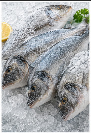 Frozen Fish